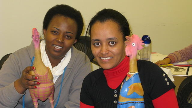 IMG 1541